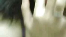 Kolme https porno ky ...