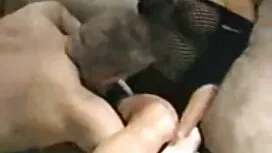 Iso nopea vittu frie ...