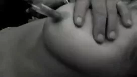 Sheila, sisar nova p ...